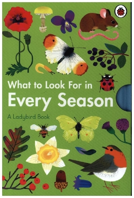 Elizabeth Jenner: What to Look For in Every Season