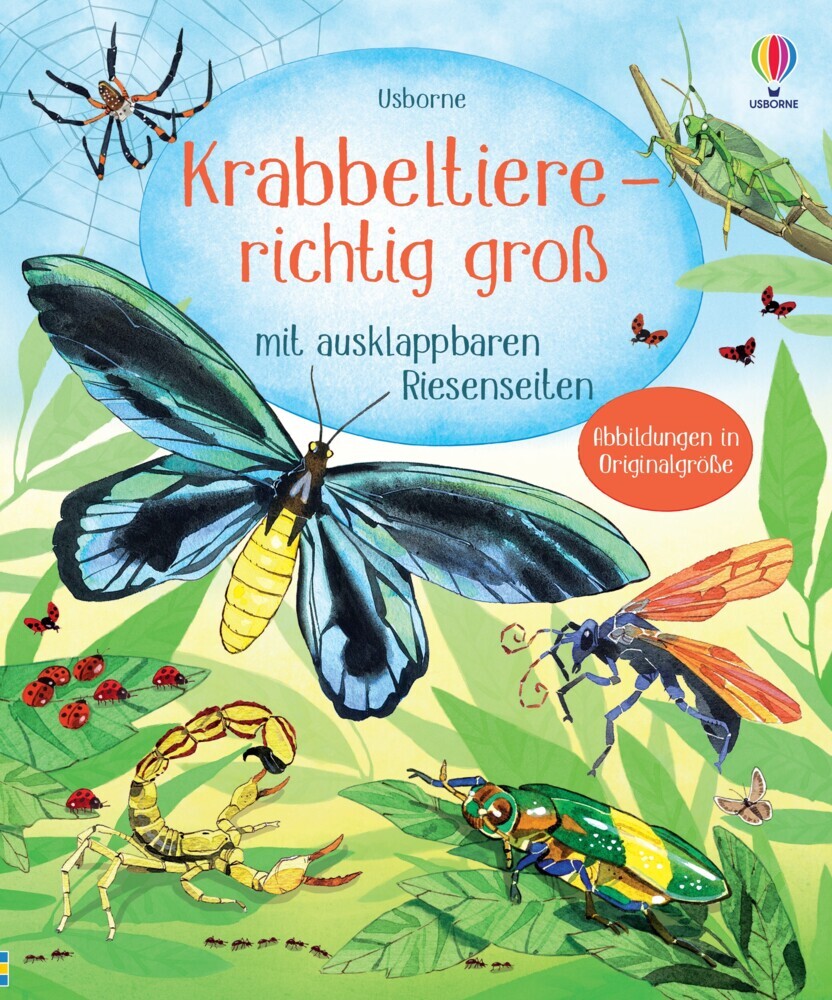 Krabbeltiere - richtig groß - gebunden