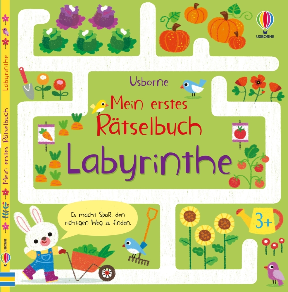 Mein erstes Rätselbuch: Labyrinthe - Taschenbuch