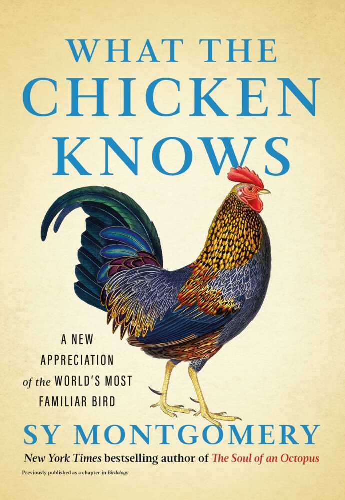 Sy Montgomery: What the Chicken Knows - gebunden