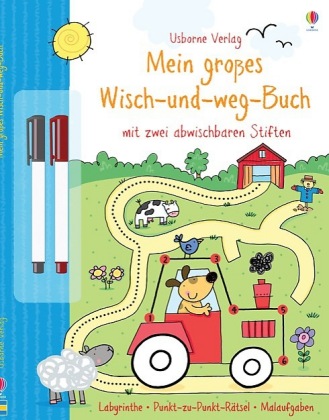 Sam Taplin: Mein großes Wisch-und-weg-Buch - Taschenbuch