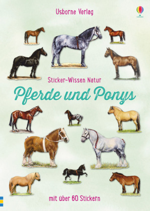 Joanna Spector: Sticker-Wissen Natur: Pferde und Ponys - Taschenbuch