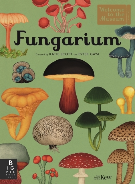 Ester Gaya: Fungarium - gebunden