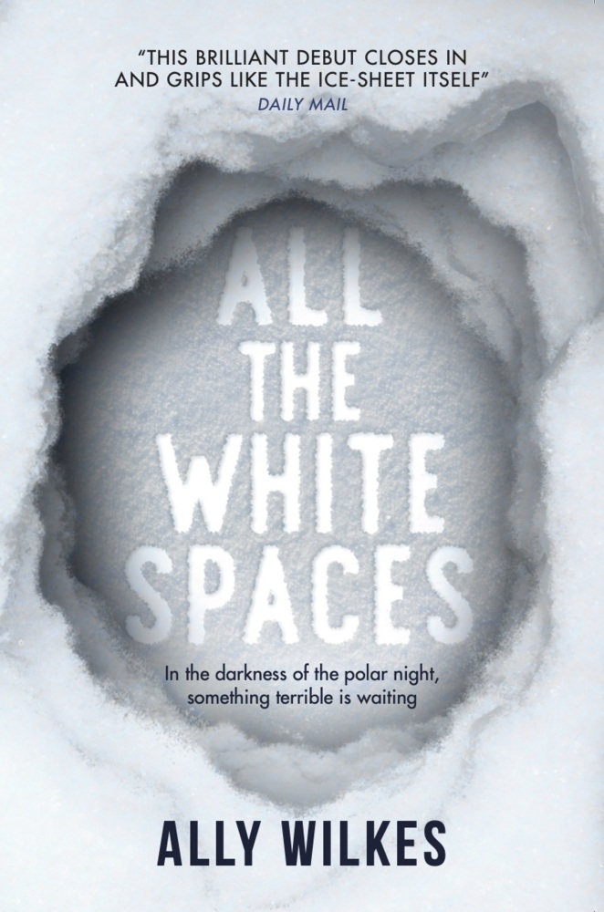 Ally Wilkes: All the White Spaces - Taschenbuch