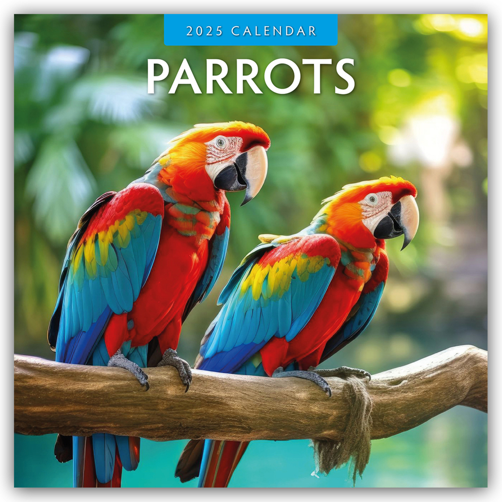 Red Robin Publishing Ltd: Parrots - Papageien 2025 - 16-Monatskalender