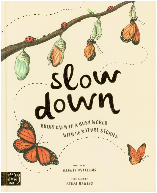 Rachel Williams: Slow Down - gebunden