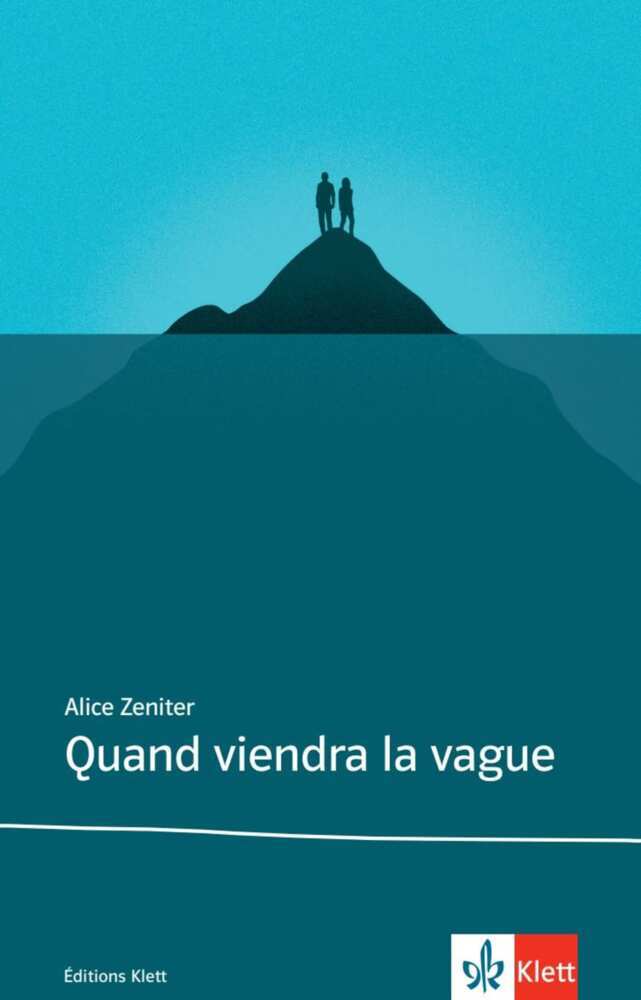 Alice Zeniter: Quand viendra la vague - Taschenbuch