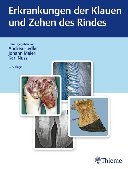 Andrea Fiedler: Erkrankungen der Klauen und Zehen des Rindes - gebunden