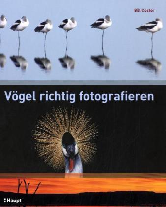 Bill Coster: Vögel richtig fotografieren - gebunden