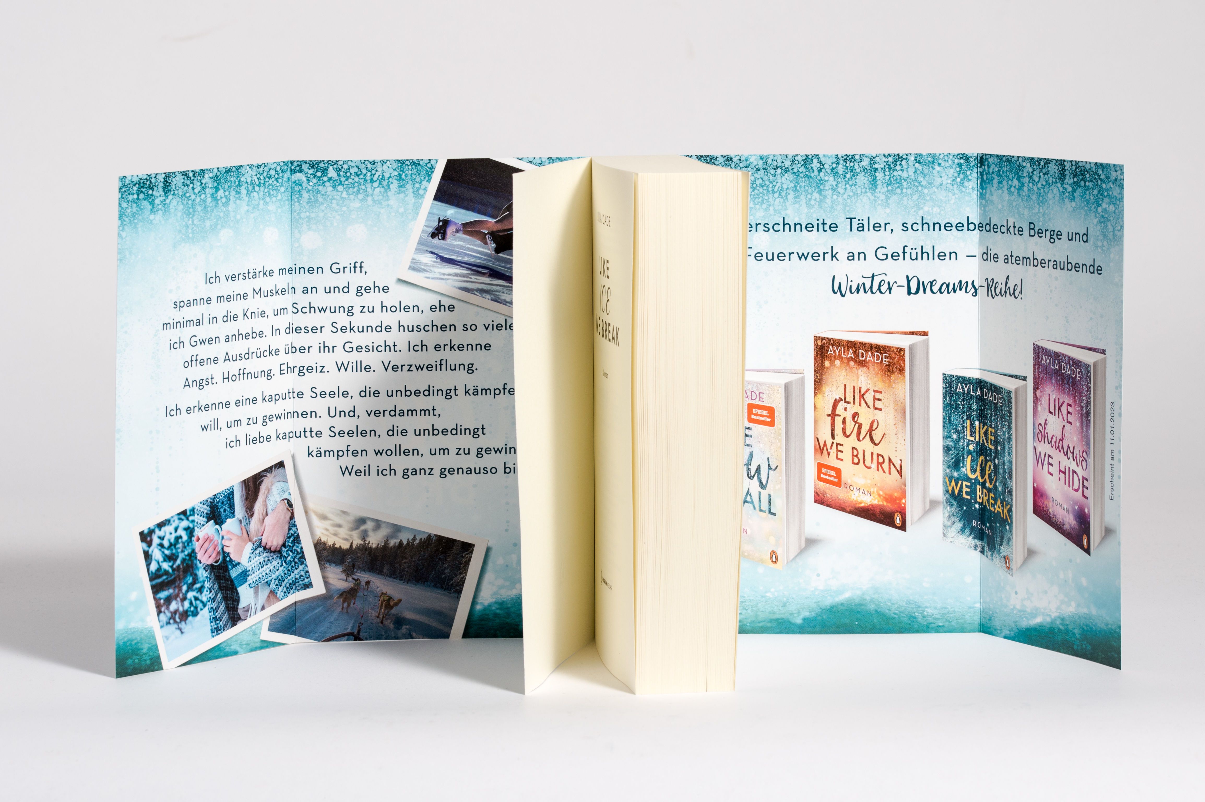 Ayla Dade: Like Ice We Break - Taschenbuch » Buch
