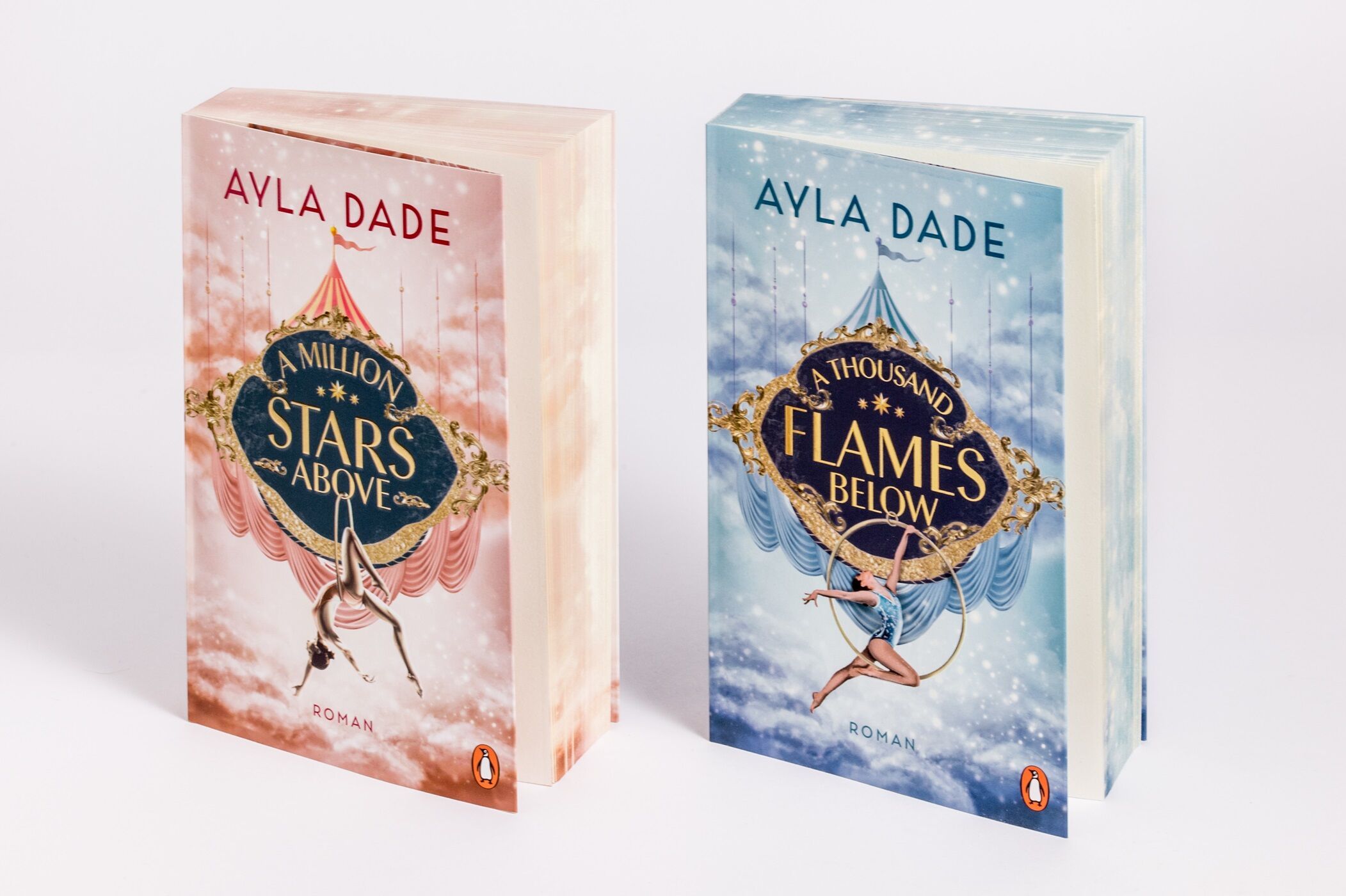 Ayla Dade A Thousand Flames Below » Buch