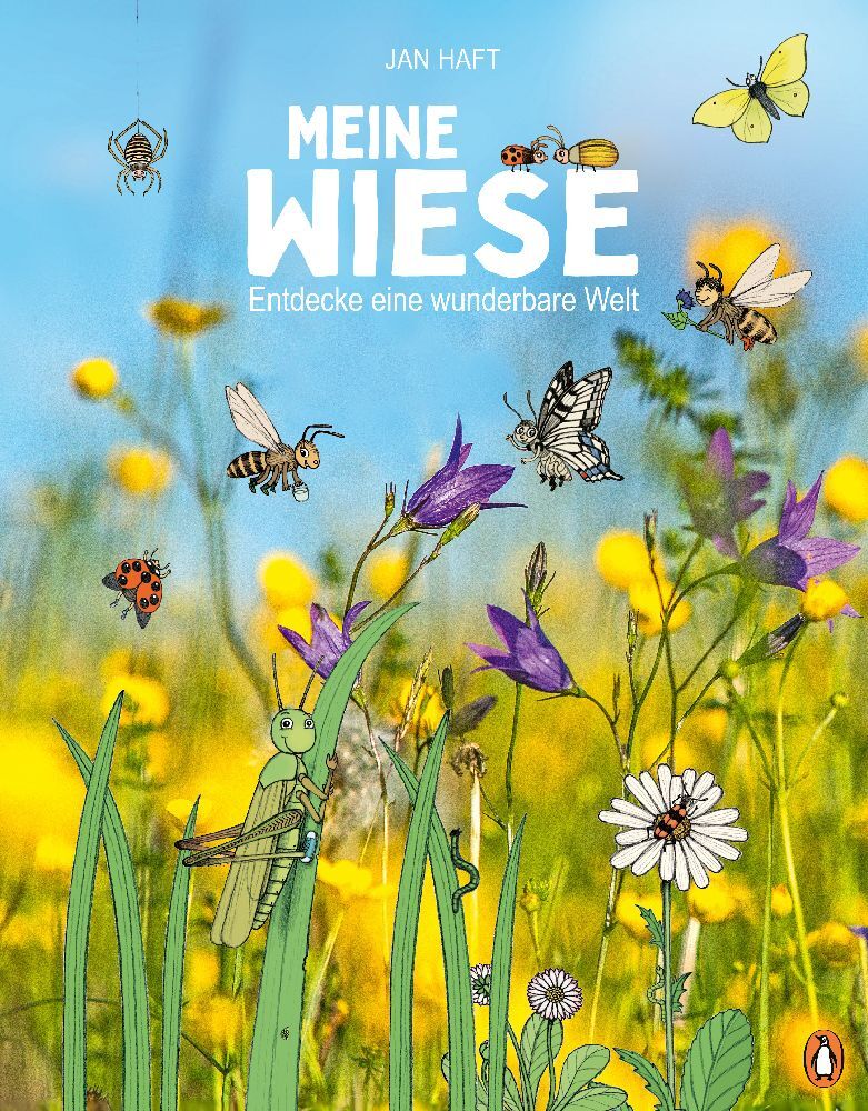 Jan Haft: Meine Wiese.  - Entdecke eine wunderbare Welt - gebunden