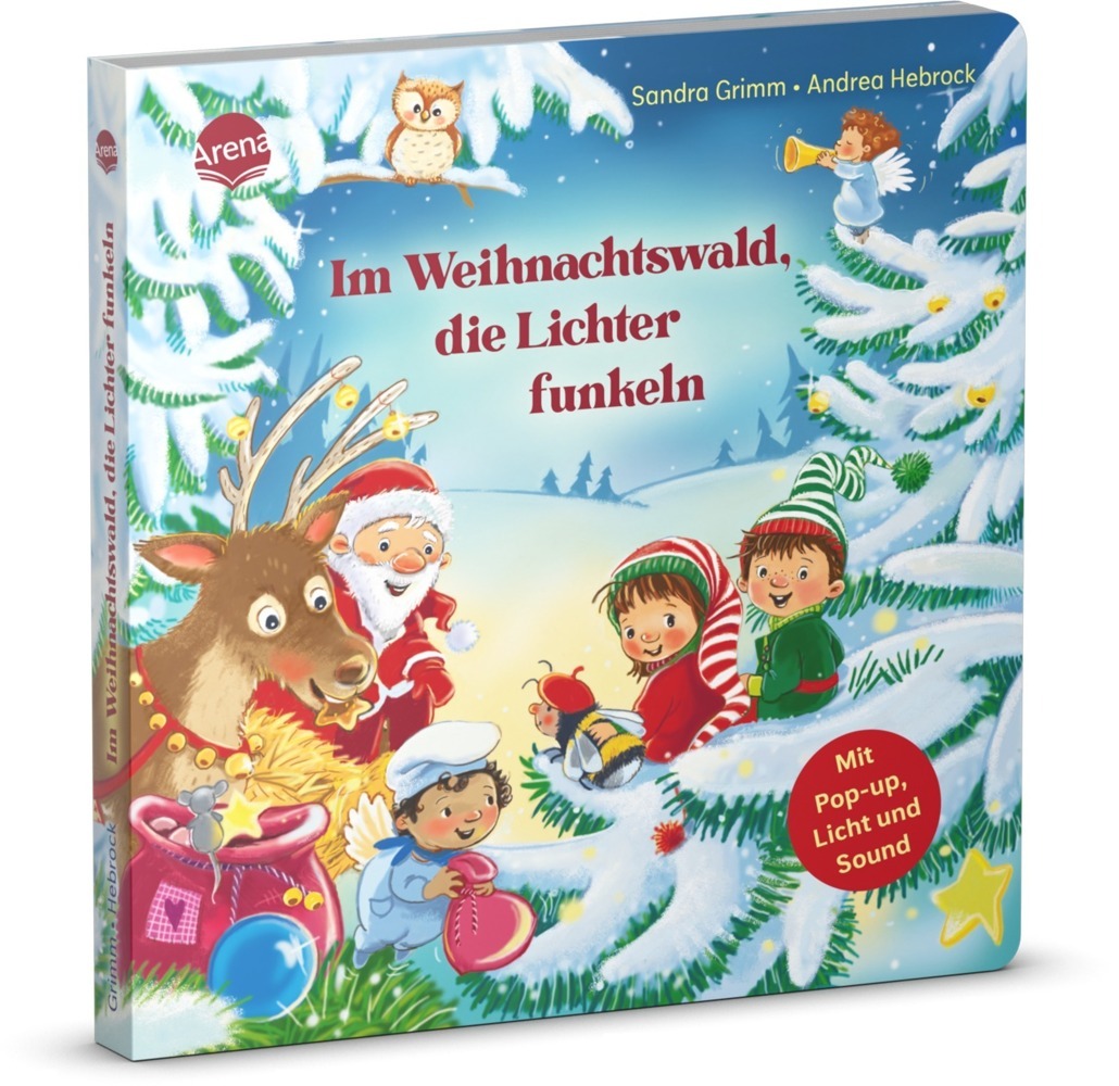 Sandra Grimm: Im Weihnachtswald, die Lichter funkeln