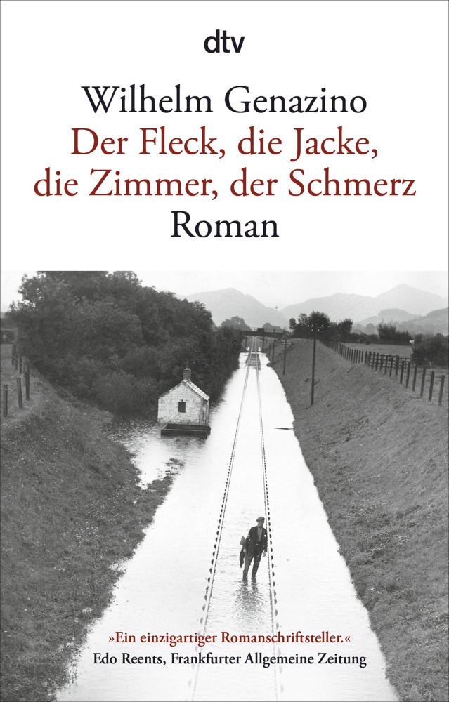 Wilhelm Genazino: Der Fleck, die Jacke, die Zimmer, der Schmerz - Taschenbuch