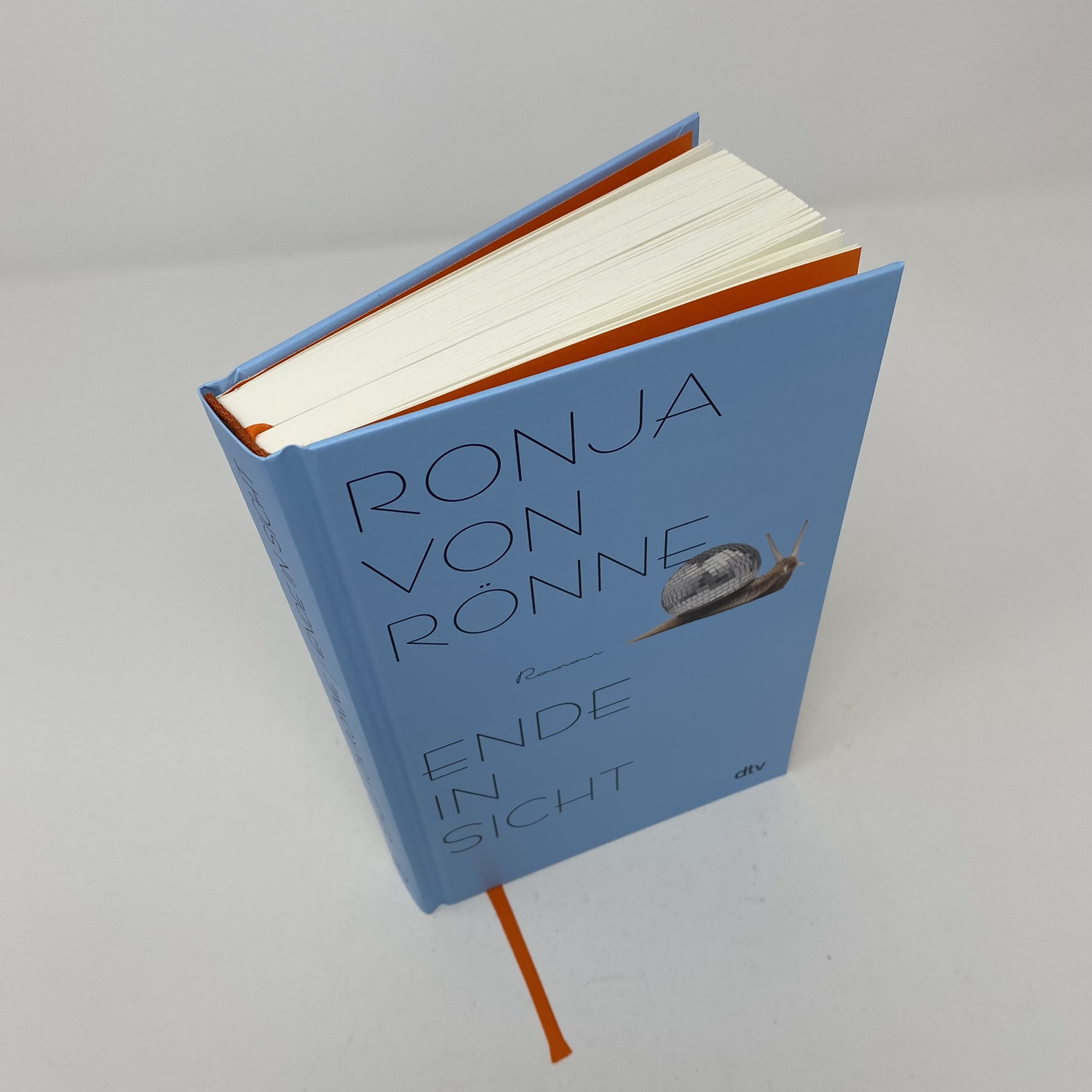 Ronja von Rönne - Ende in Sicht » Buch