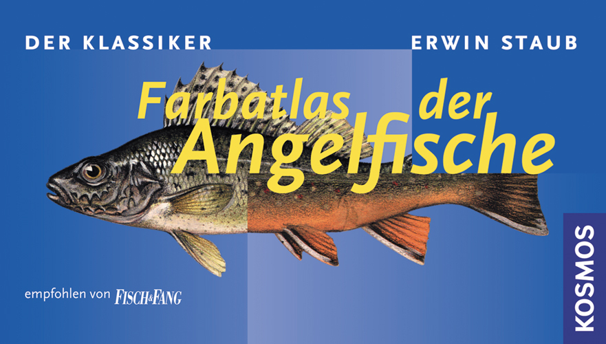 Erwin Staub: Farbatlas der Angelfische - Taschenbuch