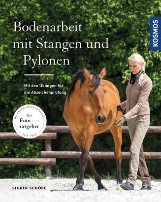 Sigrid Schöpe: Bodenarbeit mit Stangen und Pylonen - Taschenbuch