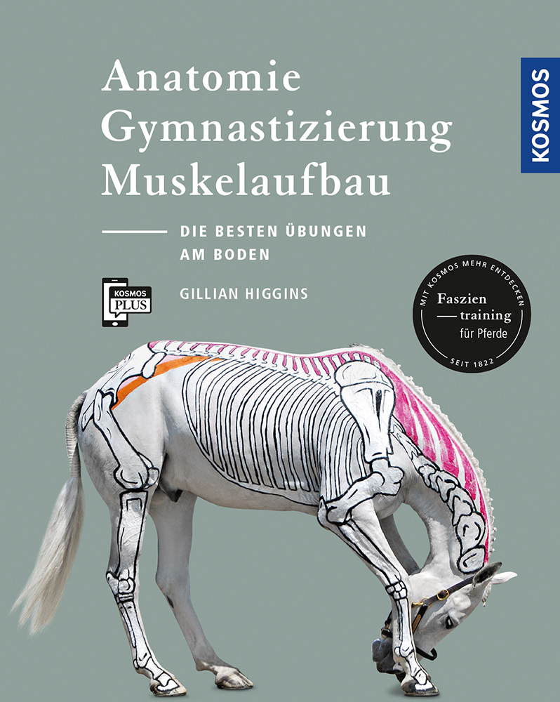 Gillian Higgins: Anatomie, Gymnastizierung, Muskelaufbau - Taschenbuch