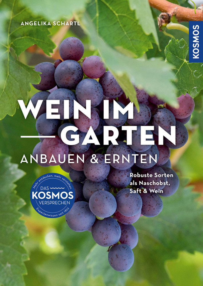 Angelika Schartl: Wein im Garten anbauen & ernten - Taschenbuch