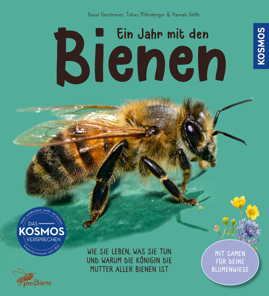 David Gerstmeier: Ein Jahr mit den Bienen - gebunden