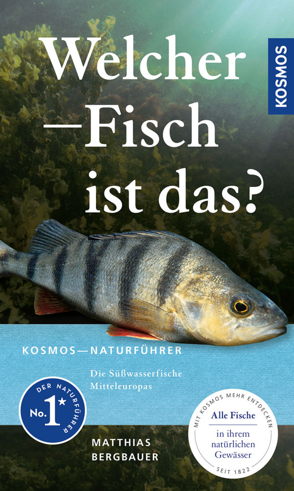 Matthias Bergbauer: Welcher Fisch ist das? - Taschenbuch