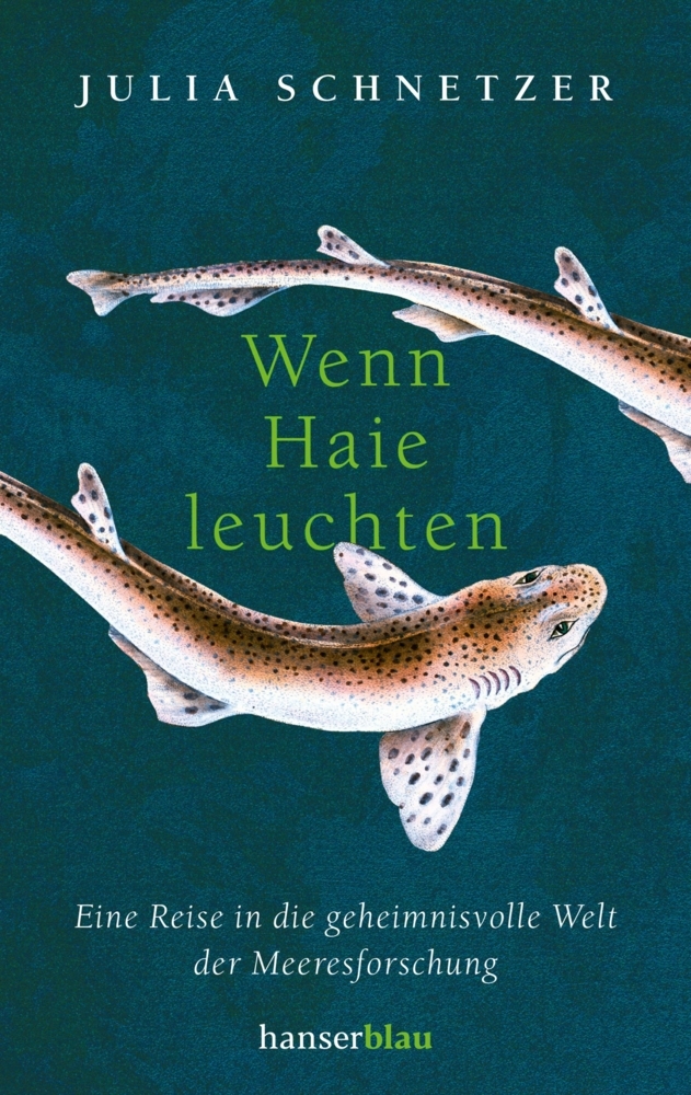 Julia Schnetzer: Wenn Haie leuchten - Taschenbuch