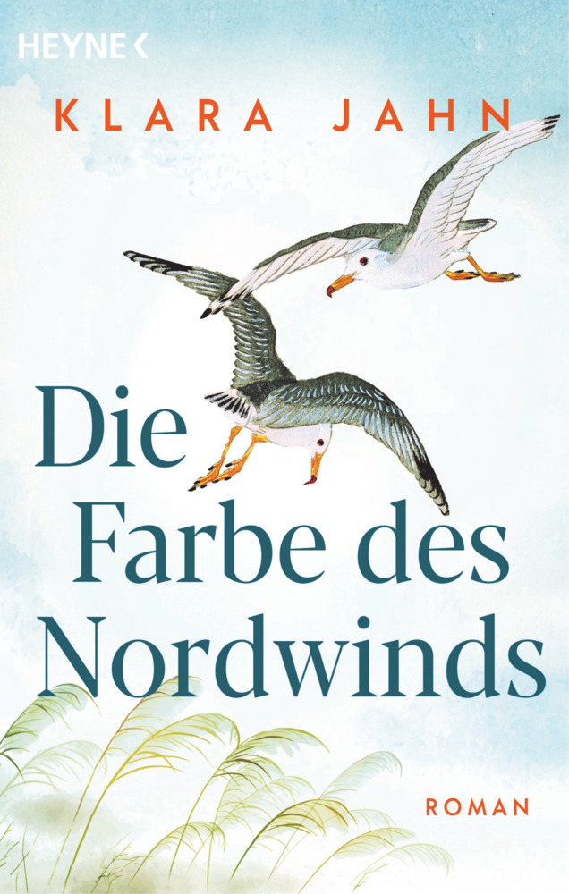 Klara Jahn: Die Farbe des Nordwinds - Taschenbuch