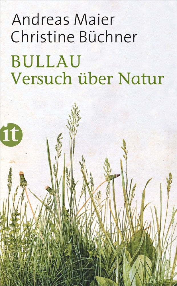 Christine Büchner: Bullau - Taschenbuch