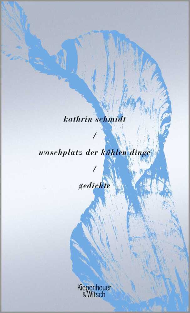 Kathrin Schmidt: waschplatz der kühlen dinge - gebunden