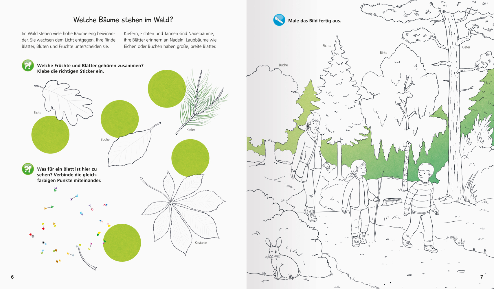 Wieso? Weshalb? Warum? aktiv-Heft: Wald - Taschenbuch