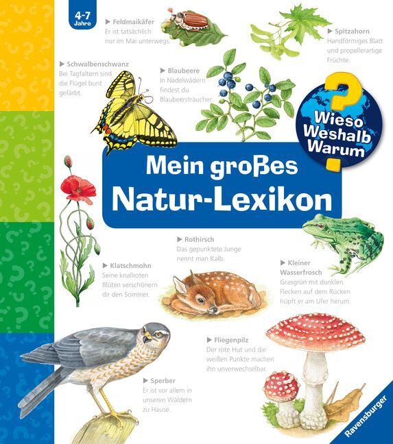 Sandra Noa: Wieso? Weshalb? Warum?: Mein großes Natur-Lexikon