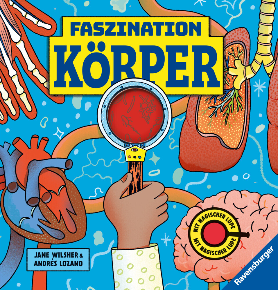 Jane Wilsher: Faszination Köper - Körpersachbuch für Kinder ab 7 Jahren mit magischer Lupe - gebunden