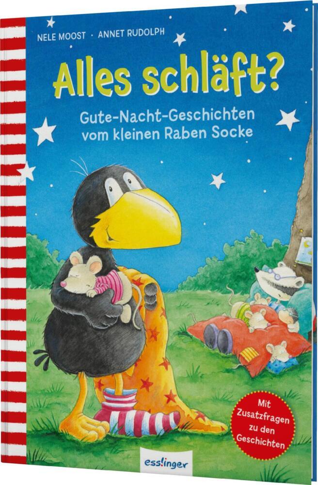 Nele Moost: Der kleine Rabe Socke: Alles schläft? - gebunden