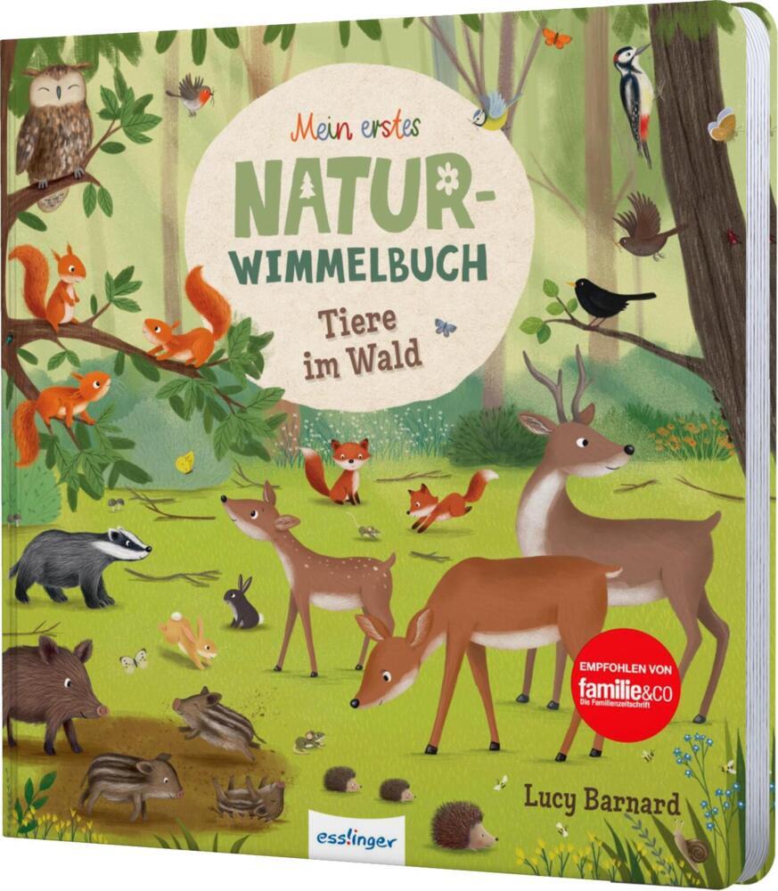 Sibylle Schumann: Mein erstes Natur-Wimmelbuch: Tiere im Wald