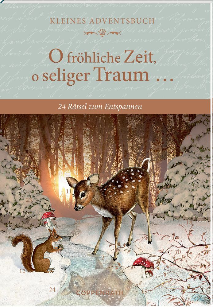 Stefan Heine: Adventskalenderbuch - O fröhliche Zeit, o seliger Traum ...