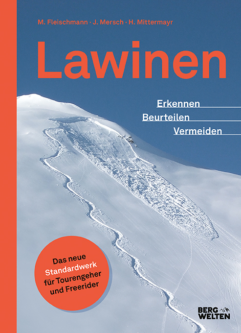 Helmut Mittermayer: Lawinen - gebunden