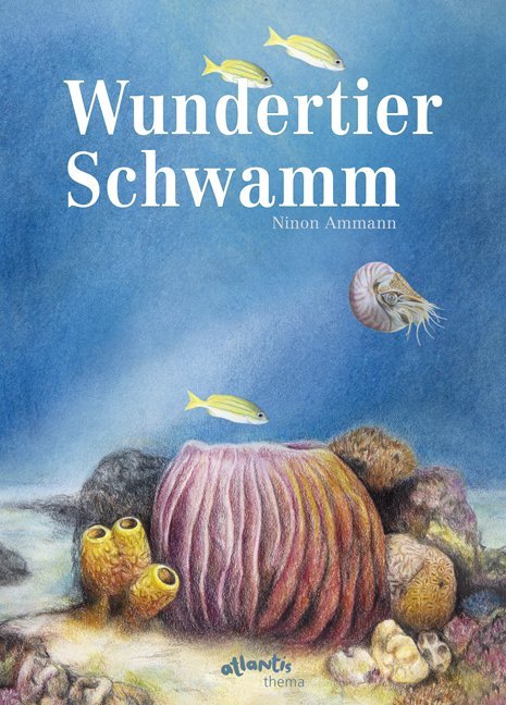 Ninon Ammann: Wundertier Schwamm - gebunden