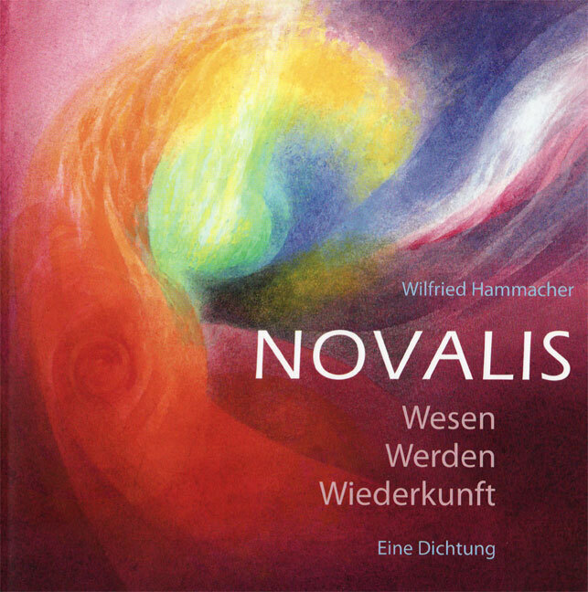 Wilfried Hammacher: Novalis - Taschenbuch
