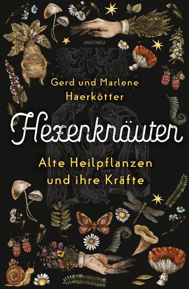 Marlene Haerkötter: Hexenkräuter. Alte Heilpflanzen und ihre Kräfte - Taschenbuch