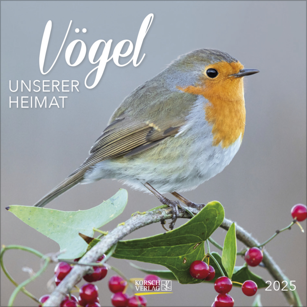 KORSCH Bildkalender Vögel 30 x 30 cm 2025