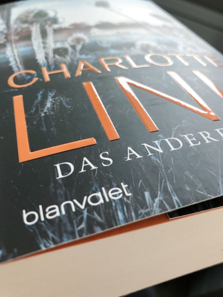 Charlotte Link: Das andere Kind - Taschenbuch