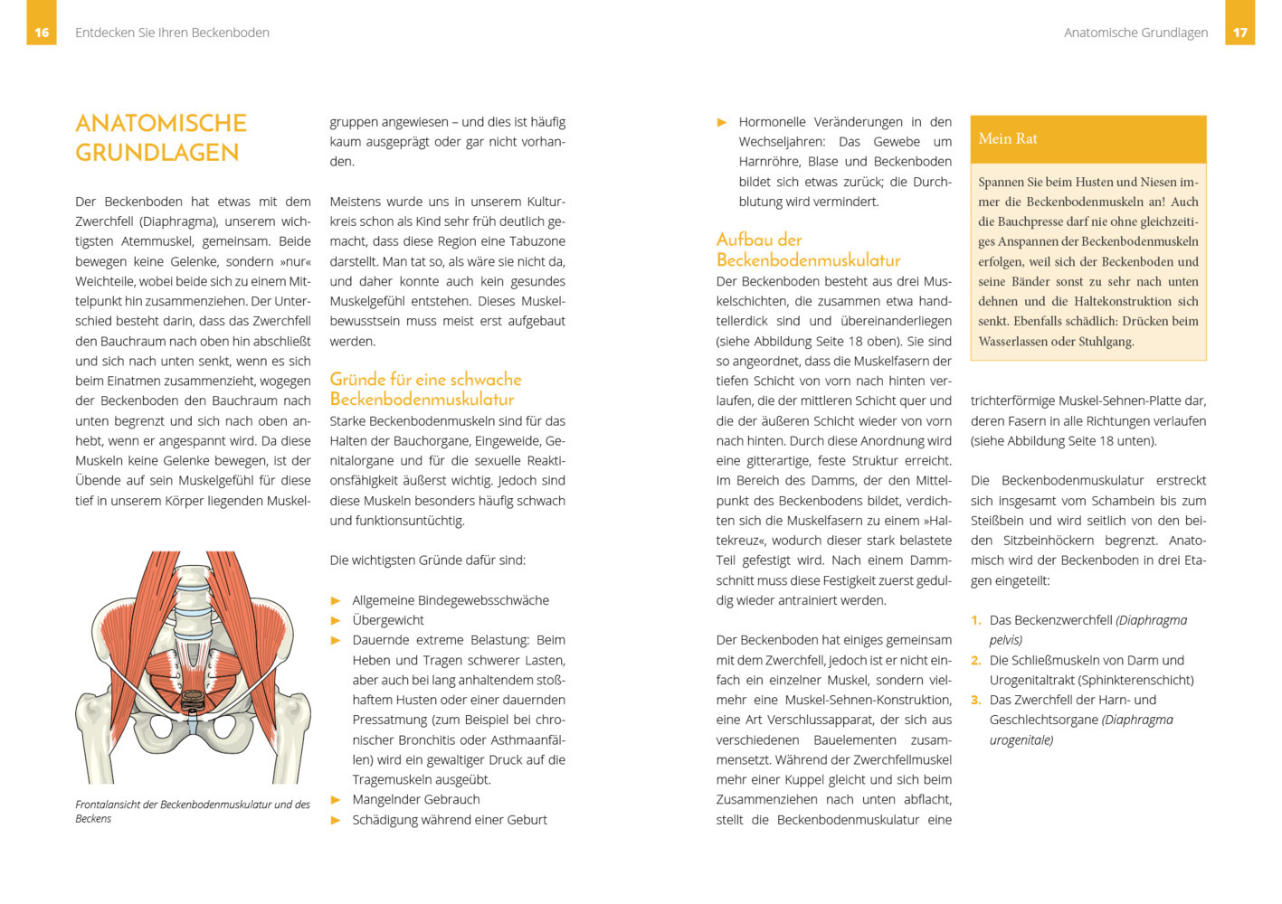 Beckenboden - Die Kraft von innen von Susanne Schwärzler main image 1