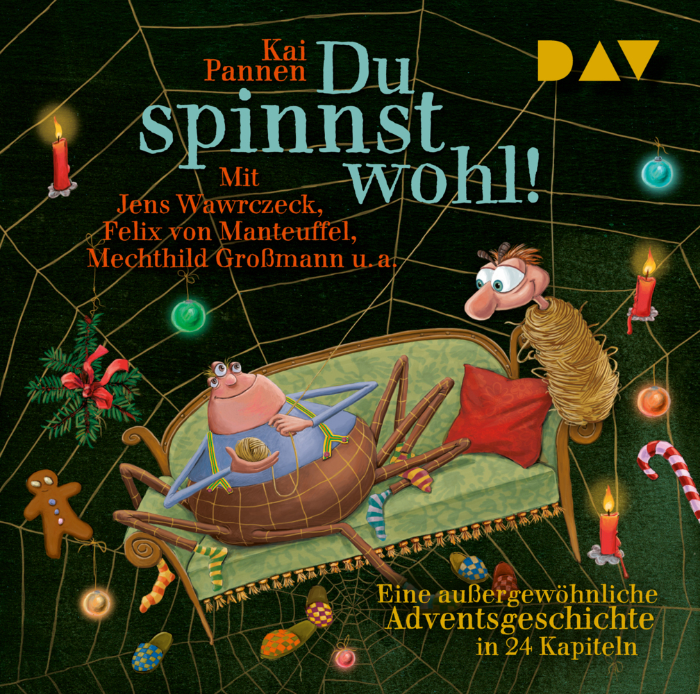 Kai Pannen: Du spinnst wohl! Eine außergewöhnliche Adventsgeschichte in 24 Kapiteln, 2 Audio-CD - CD