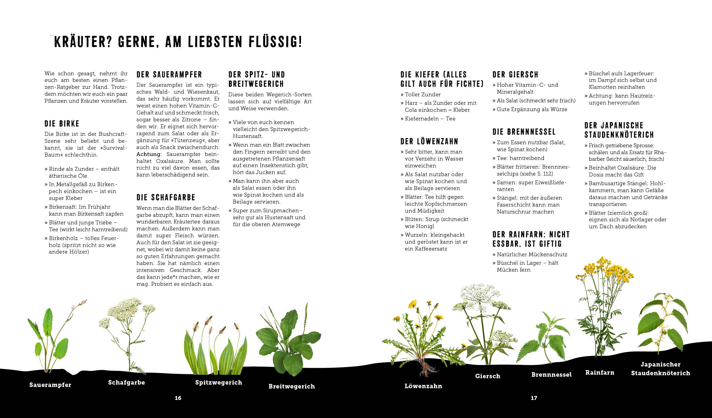 Outdoor Kochen - Ohne Strom Und Ohne Schnickschnack Mit Den Naturensöhnen - Jetzt Kaufen