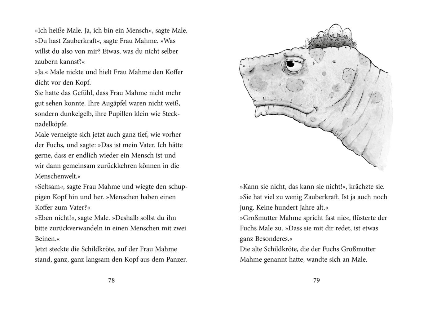 Paul Maar Die Tochter der Zauberin » Buch