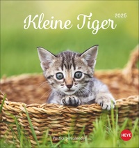 Postkartenkalender Katzen Kleine Tiger 2026