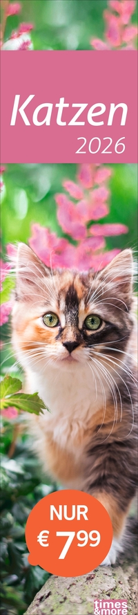 Katzen Langplaner 2026