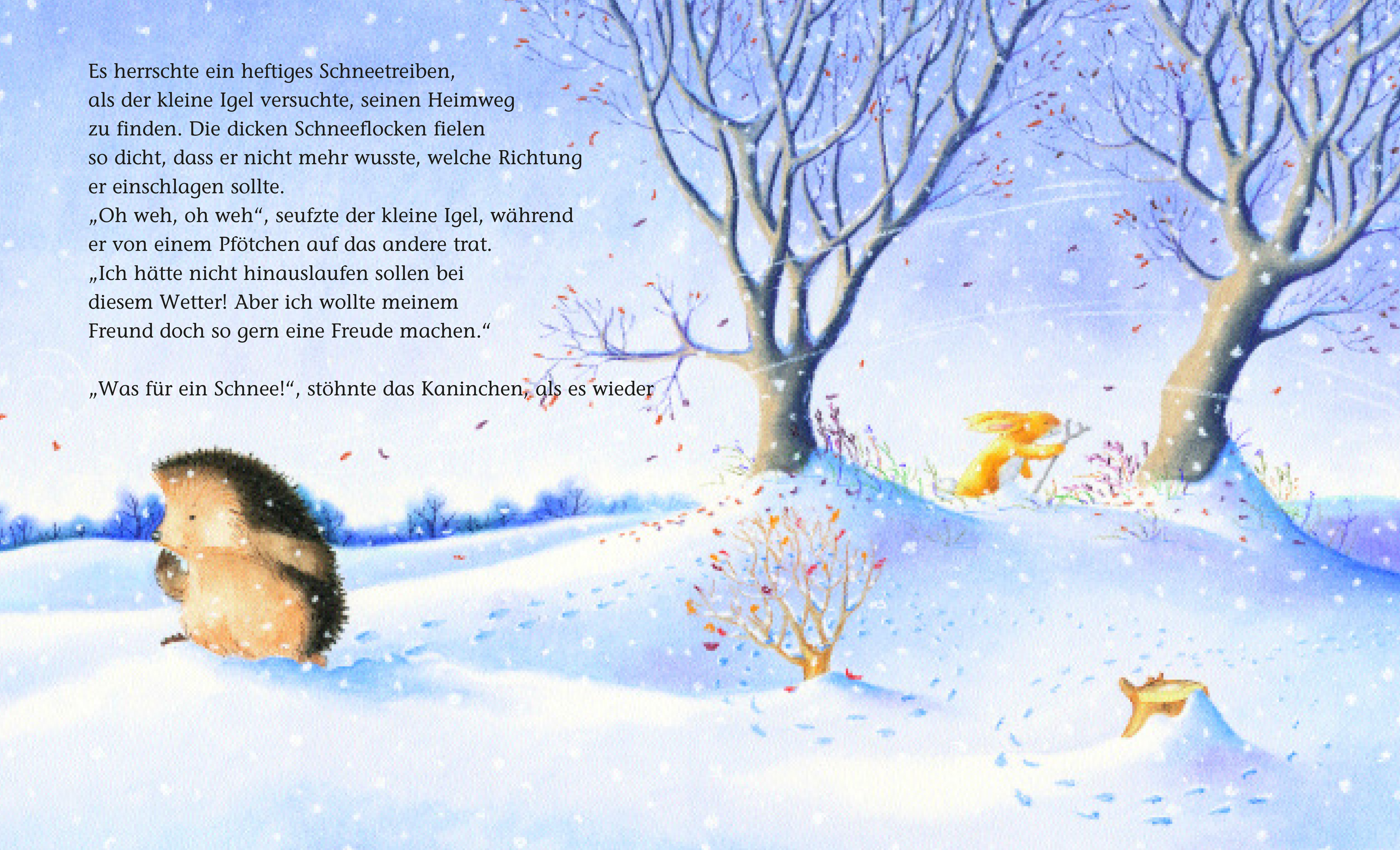 igel mit der roten mütze