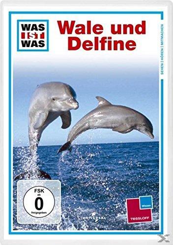 WAS IST WAS DVD Wale und Delfine. Faszinierende Meeressäuger, 1 DVD - DVD