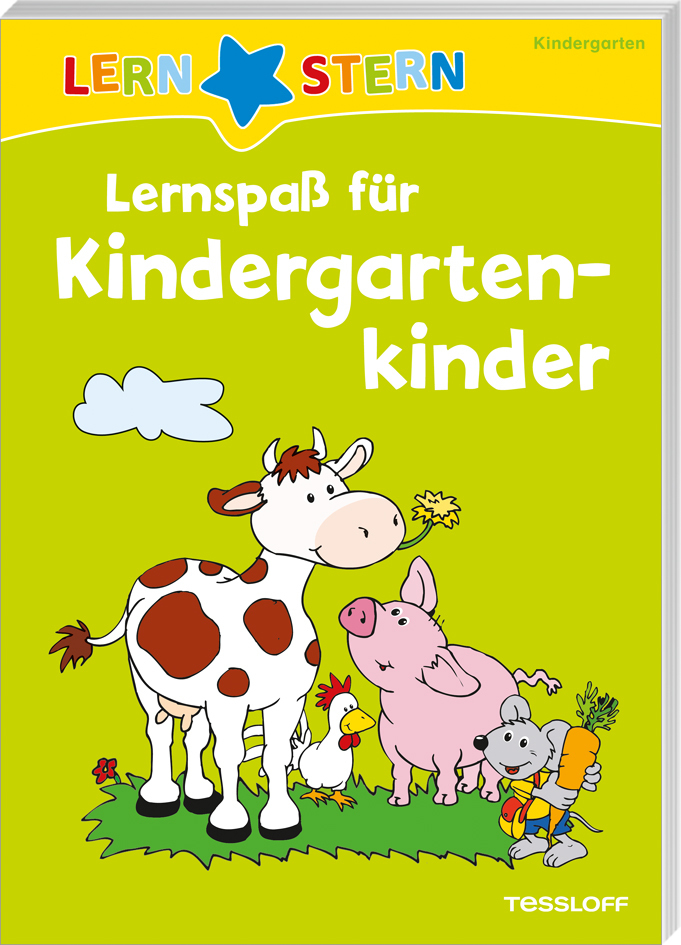 LERNSTERN Lernspaß für Kindergartenkinder - Taschenbuch